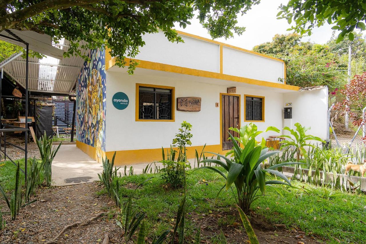Ayenda Flora Jaguar Bed and Breakfast Ibagué Exteriör bild